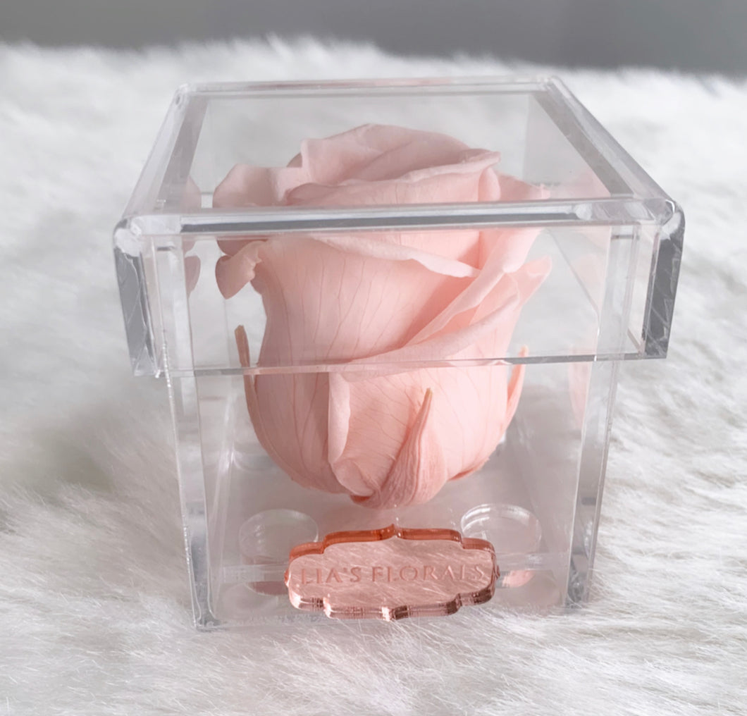 Le Mini Rose Box