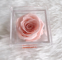 Load image into Gallery viewer, Le Mini Rose Box
