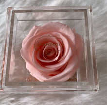 Load image into Gallery viewer, Single Rose Box
